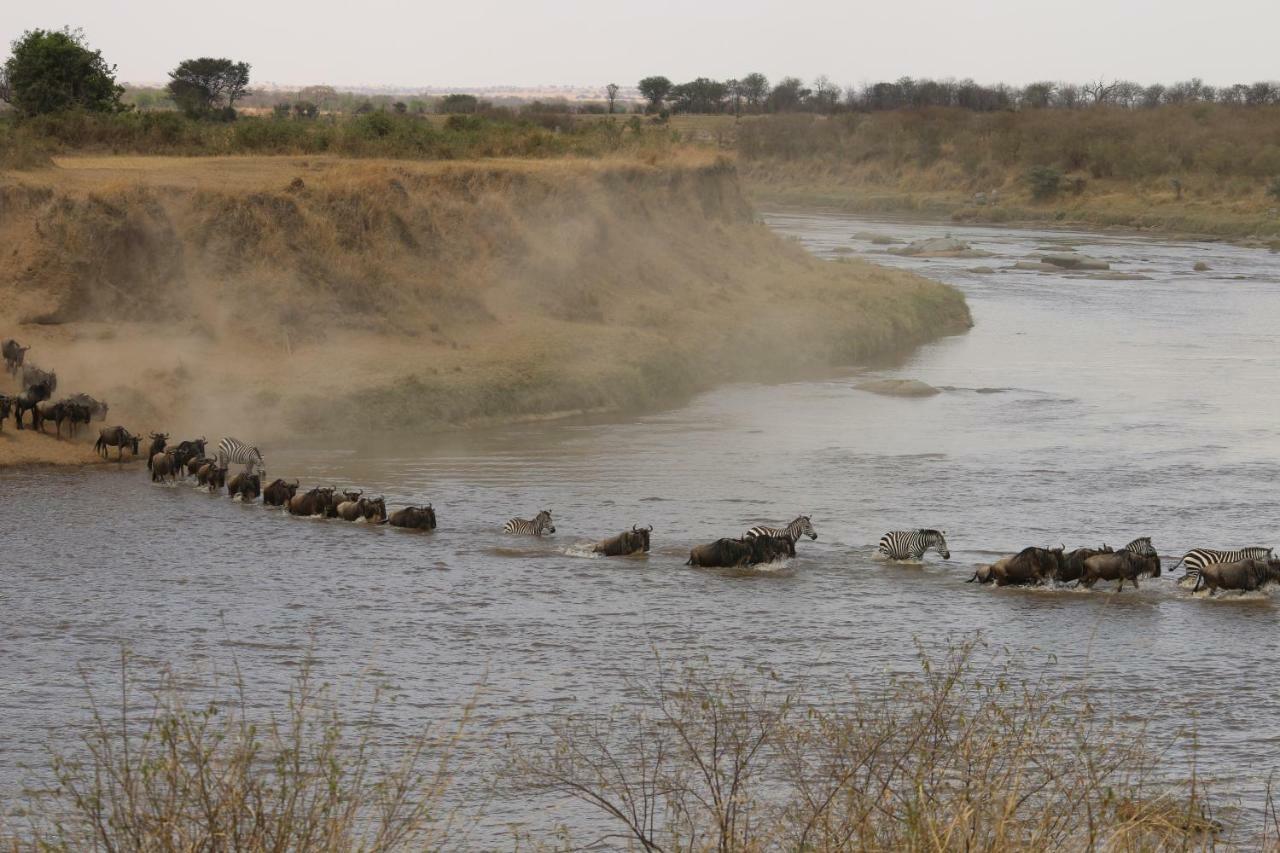 Gnu Mara River Camp Σερενγκέτι Εξωτερικό φωτογραφία